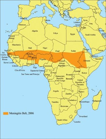 Meningitis belt in Africa.  Photo courtesy of the Centre For Disease Control (wwwn.cdc.gov)